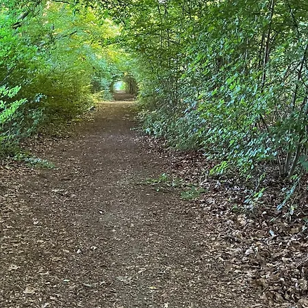 Zu Hause Im Birkenwald * Freirachdorf