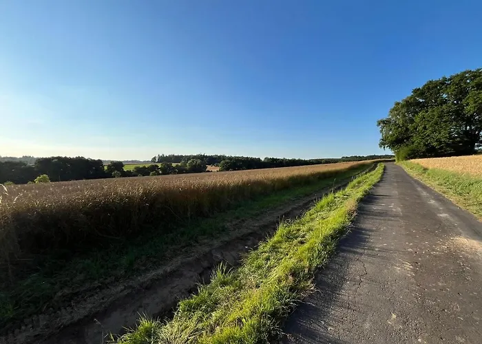 Zu Hause Im Birkenwald דירה Freirachdorf